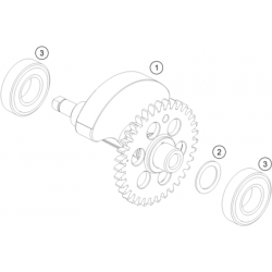 Balancier d'équilibrage moteur HUSQVARNA 701 ENDURO/SUPERMOTO 2016