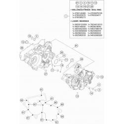 Carters moteur HUSQVARNA 250/300 TE 2017