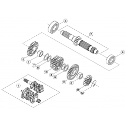 Boite de vitesses Arbre primaire BETA 250/300 RR 2T RACING 2015