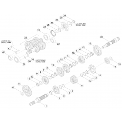 Boite de vitesses BETA 390/430/480 RR 4T 2015