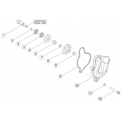 Pompe à eau BETA RR 4T 2015