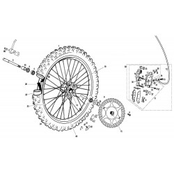 Roue et frein avant