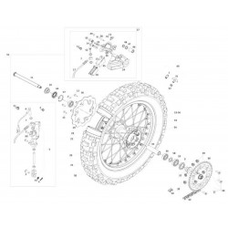 Roue et frein arrière