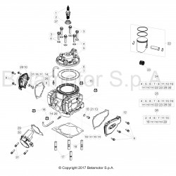 Cylindre et piston BETA 250 RR 2T 2019