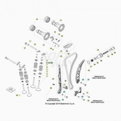 Distribution BETA 430 RR 4T EFI 2020