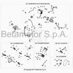 Faisceau électrique BETA 250 RR 2T RACING 2019