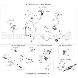 Faisceau électrique BETA 125 RR 2T 2019