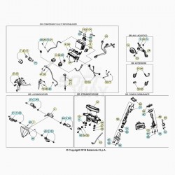 Faisceau électrique BETA 480 RR 4T EFI 2020
