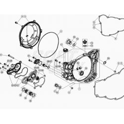 Carter d'embrayage et pompe à eau BETA 300 RR 2T RACING 2020 