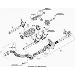 Sélecteur et axe de sélection BETA 300 RR 2T RACING 2020 