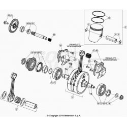 Vilebrequin et bielle BETA 250 RR 2T 2021 