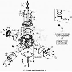 Cylindre et kit piston BETA 250 RR 2T 2021 