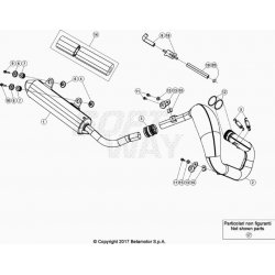 Échappement et silencieux BETA 250 X-TRAINER 2021 