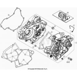 Carter moteur BETA 125 RR 2T RACING 2021 