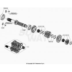 Boîte de vitessses ,arbre secondaire BETA 200 RR 2T RACING 2021 