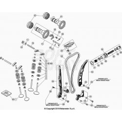 Distribution BETA 350 RR 4T 2022 