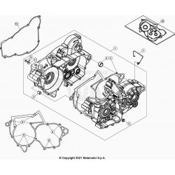 Carter moteur BETA 250 X-TRAINER 2T 2022 