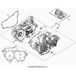 Carter moteur BETA 300 X-TRAINER 2T 2022 