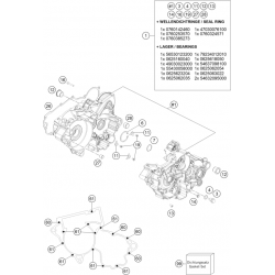 Carters moteur GASGAS 300 EC 2T 2021 