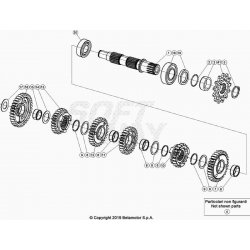 Boîte de vitessses, arbre secondaire BETA 200 RR 2T RACING 2022 