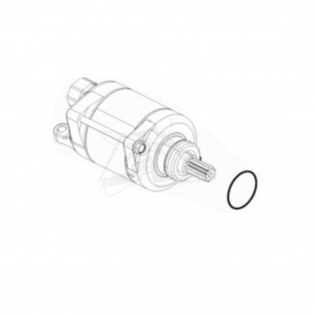 Démarreur électrique 250 & 350 4t 