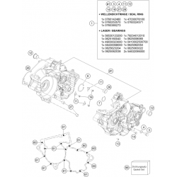 Carters moteur HUSQVARNA TC 250 2T 2024 