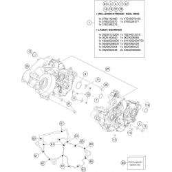 Carters moteur HUSQVARNA TE 250i 2T 2024 