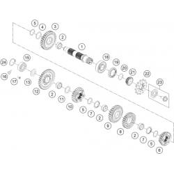 Boîte de vitesse - arbre secondaire GASGAS 250 EC 2024 