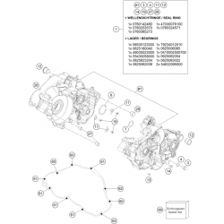 Carters moteur GASGAS 250 MC 2T 2024 