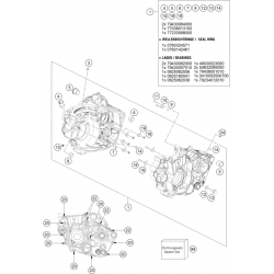 Carters moteur GASGAS 450 EC-F 4T 2024 