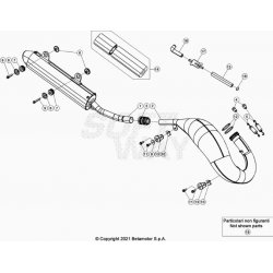 Échappement et silencieux BETA 125 RR 2T RACING 2024 