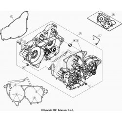 Carter moteur BETA 250 RR 2T XTRAINER 2024 