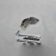 Protection carter embrayage SHERCO 